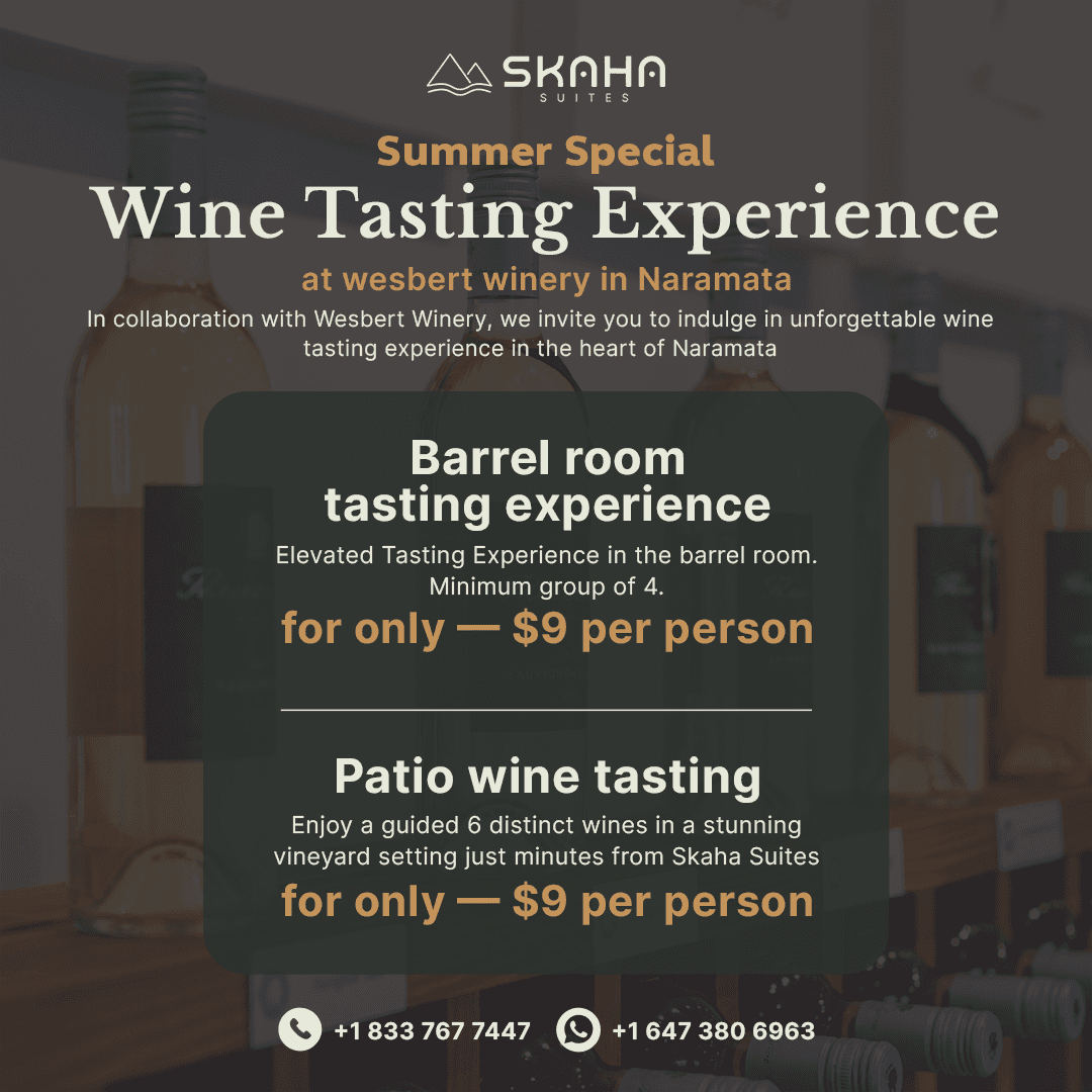 Wine Tasting Experience